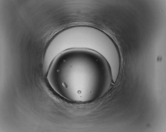 X0000111030013200906251316