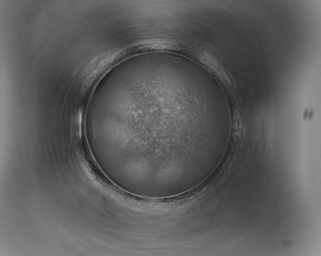 X0000111030014200906251316