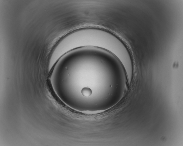 X0000111030015200906251316