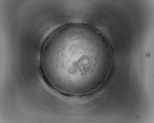 X0000111030016200906251316