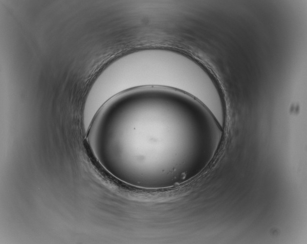 X0000111030017200906251316