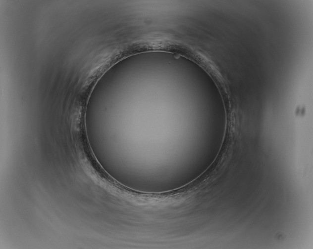X0000111030018200906251316