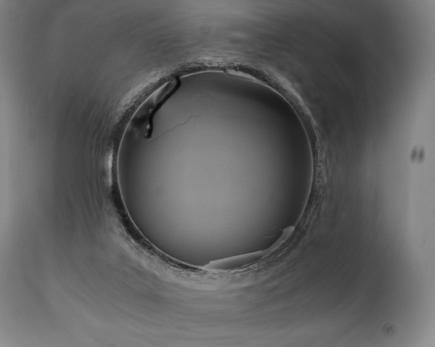 X0000111030019200906251316