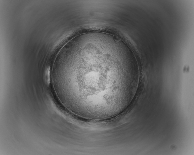X0000111030020200906251315