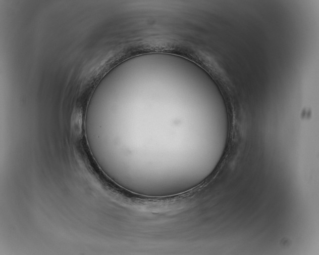 X0000111030021200906251315