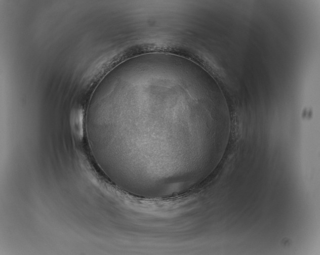 X0000111030022200906251315