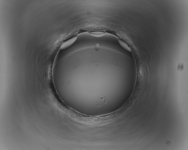 X0000111030023200906251315