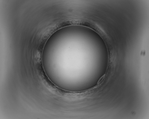 X0000111030025200906251315
