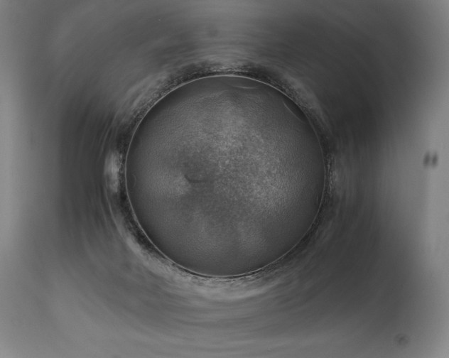 X0000111030026200906251315