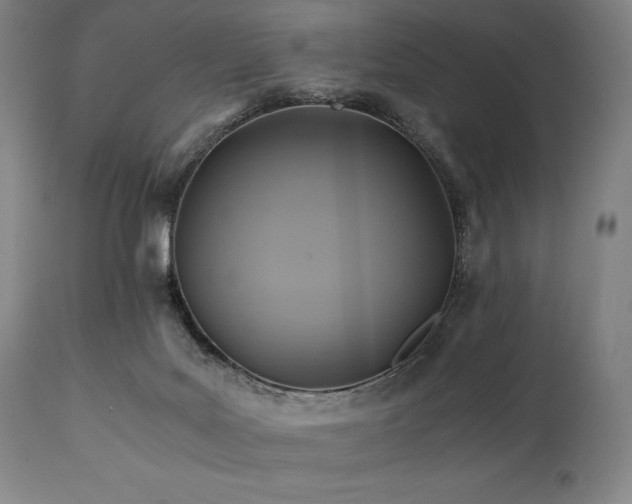X0000111030027200906251315