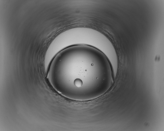 X0000111030029200906251315