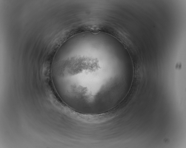 X0000111030030200906251315