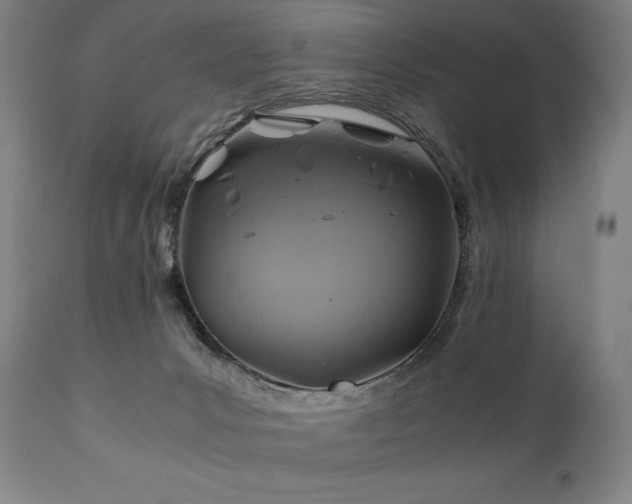 X0000111030031200906251315