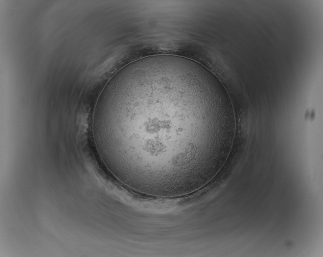 X0000111030032200906251315