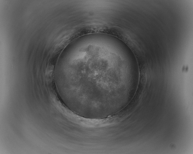 X0000111030034200906251315
