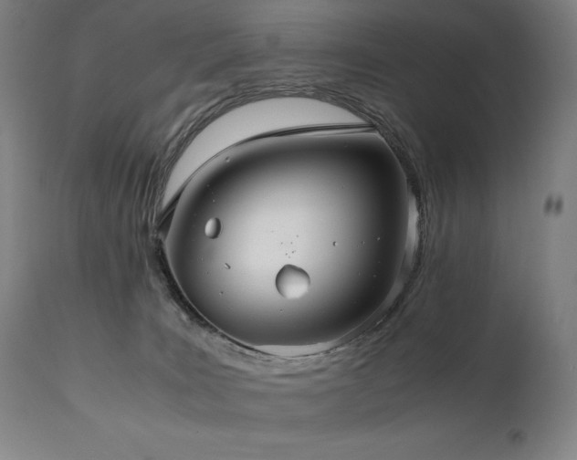 X0000111030035200906251315