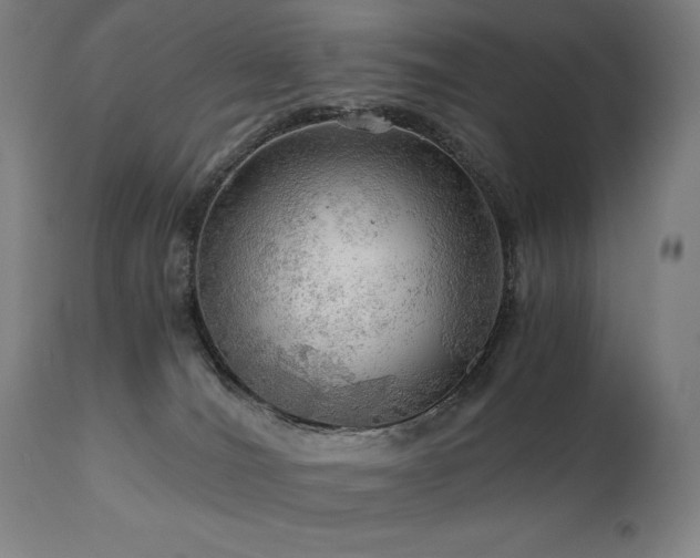 X0000111030036200906251315