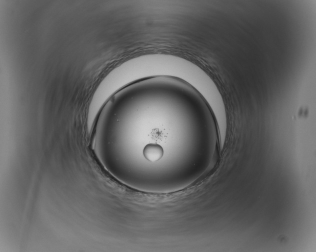 X0000111030037200906251315