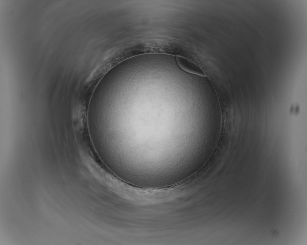 X0000111030038200906251315