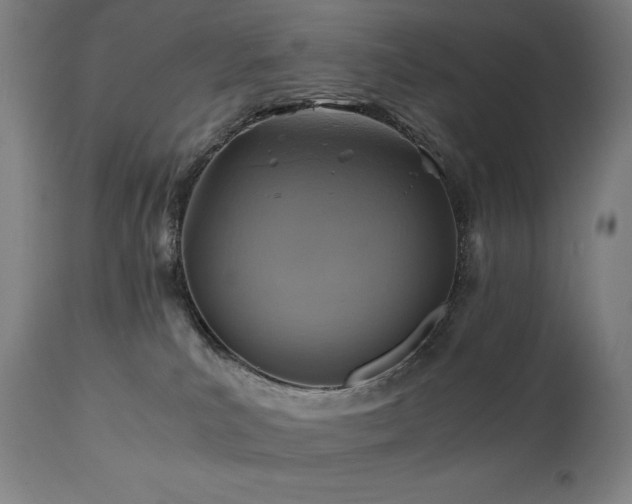 X0000111030039200906251315