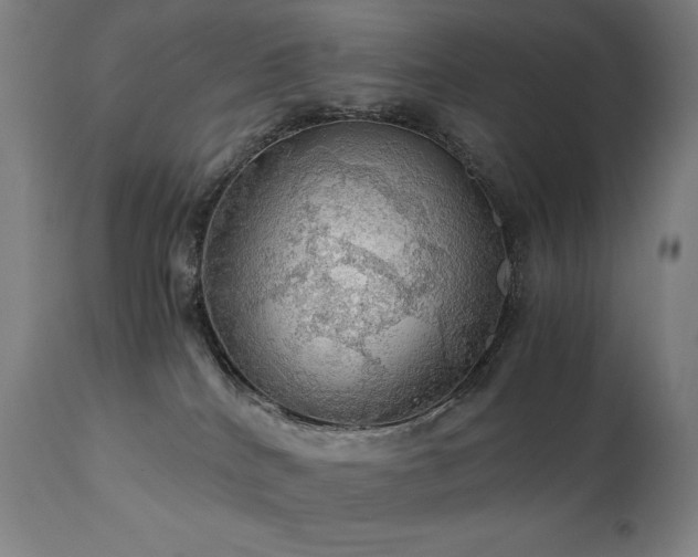 X0000111030040200906251315