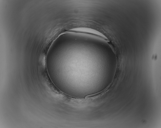 X0000111030041200906251315