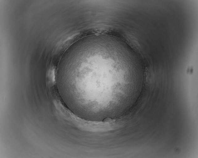 X0000111030042200906251315