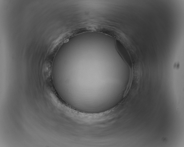 X0000111030043200906251315