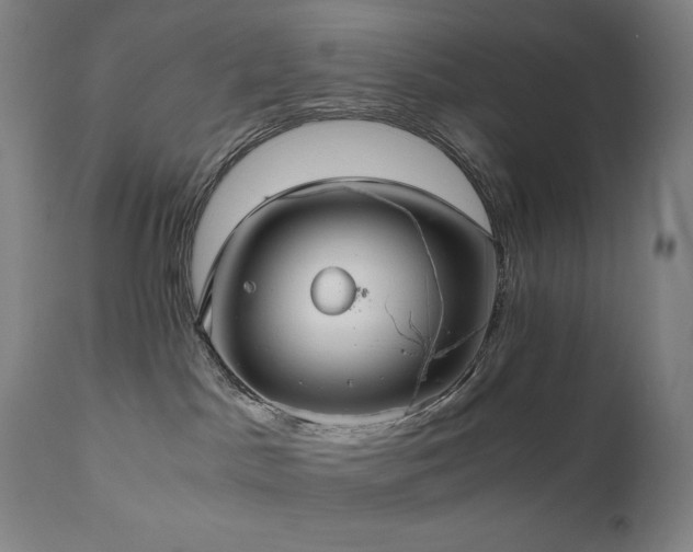 X0000111030045200906251315