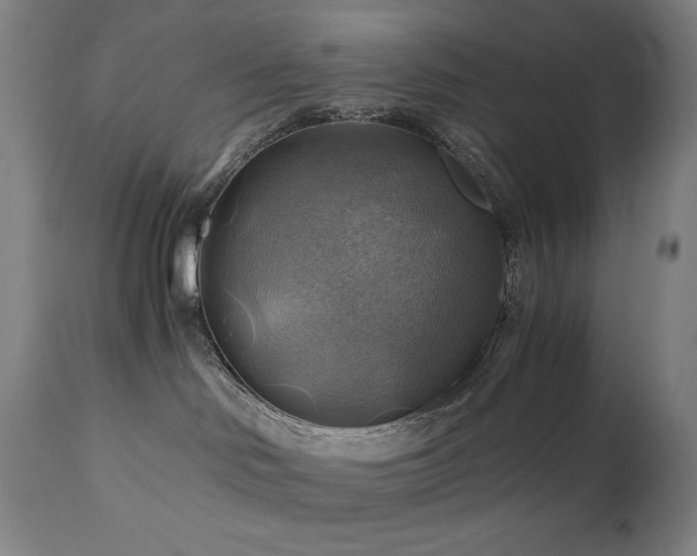 X0000111030046200906251315