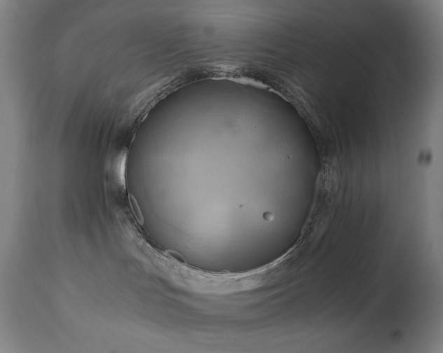 X0000111030047200906251315