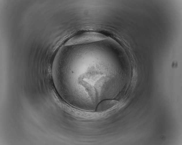 X0000111030048200906251315