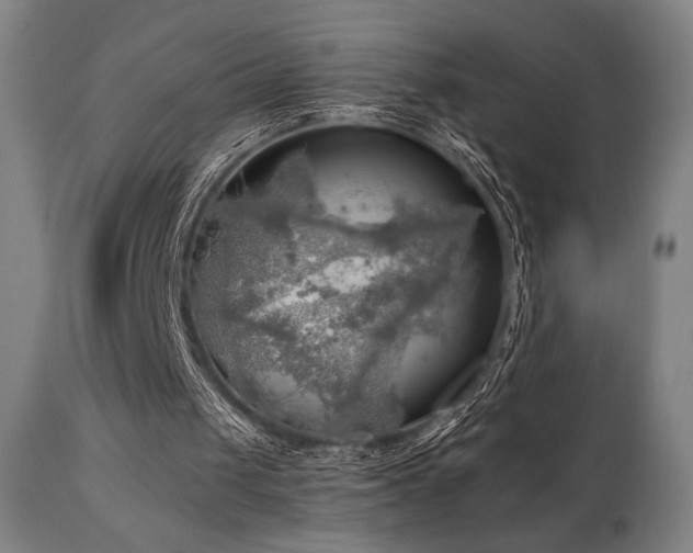 X0000111030049200906251314