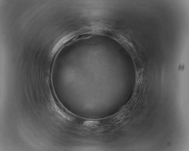 X0000111030051200906251314