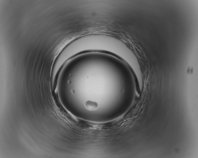 X0000111030052200906251314