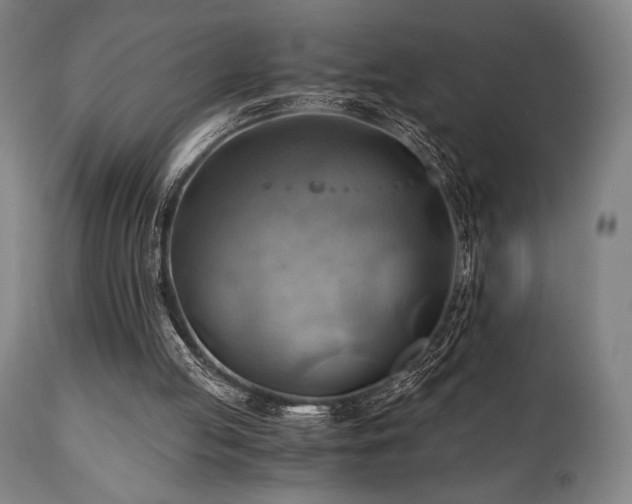 X0000111030053200906251314