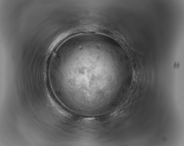 X0000111030054200906251315