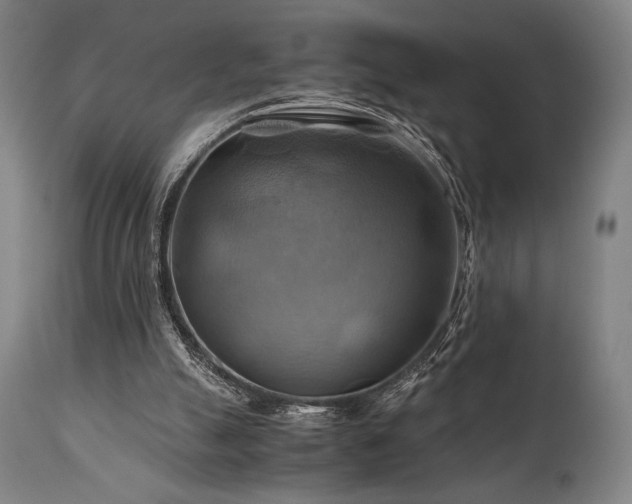 X0000111030055200906251315