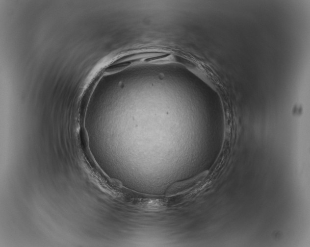 X0000111030056200906251315