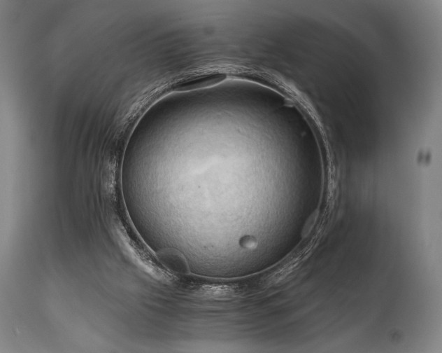 X0000111030057200906251315