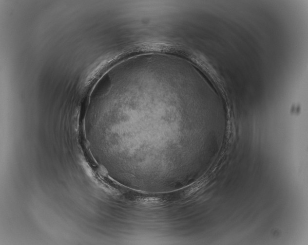 X0000111030058200906251315