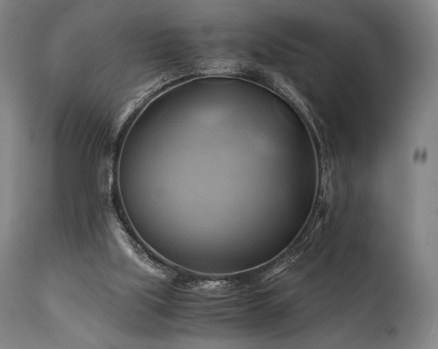 X0000111030059200906251315