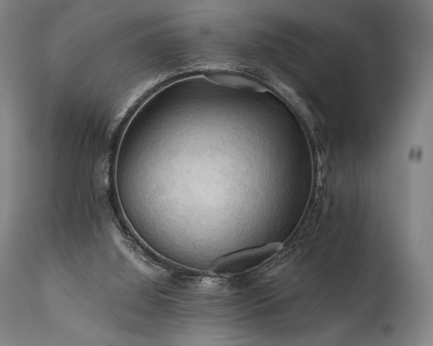 X0000111030060200906251315