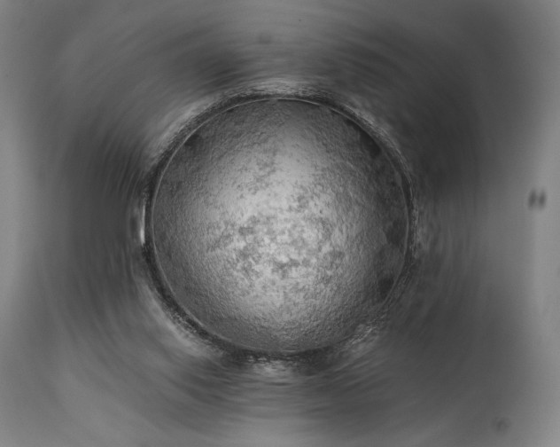 X0000111030062200906251315