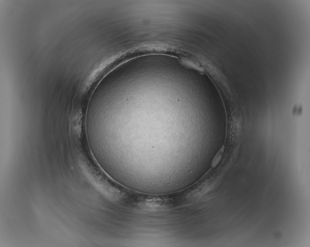 X0000111030064200906251315
