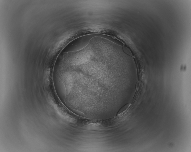 X0000111030066200906251315