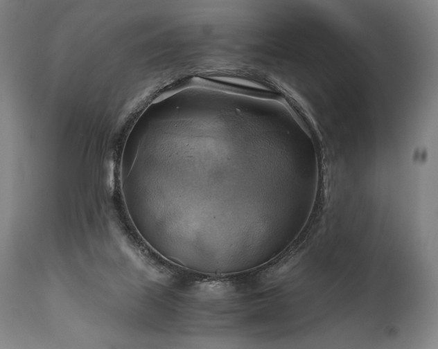X0000111030067200906251315