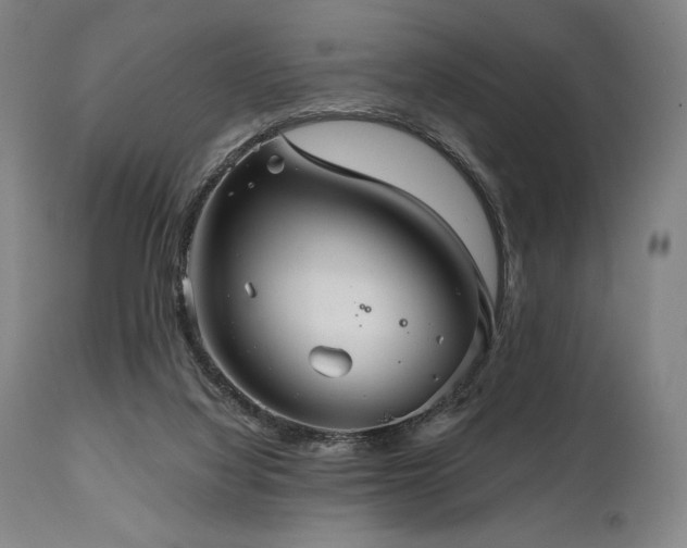 X0000111030068200906251315