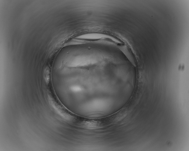 X0000111030069200906251315