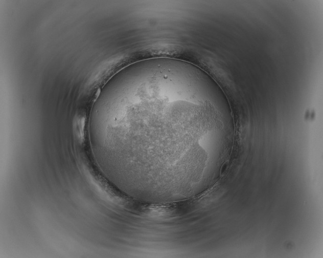 X0000111030070200906251315